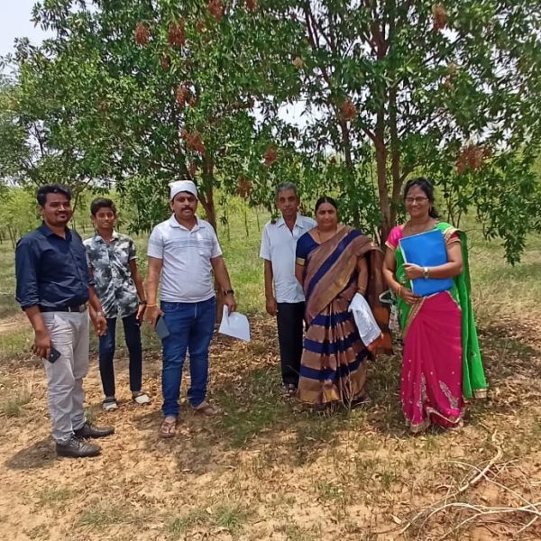 Chandana Siri Gardens